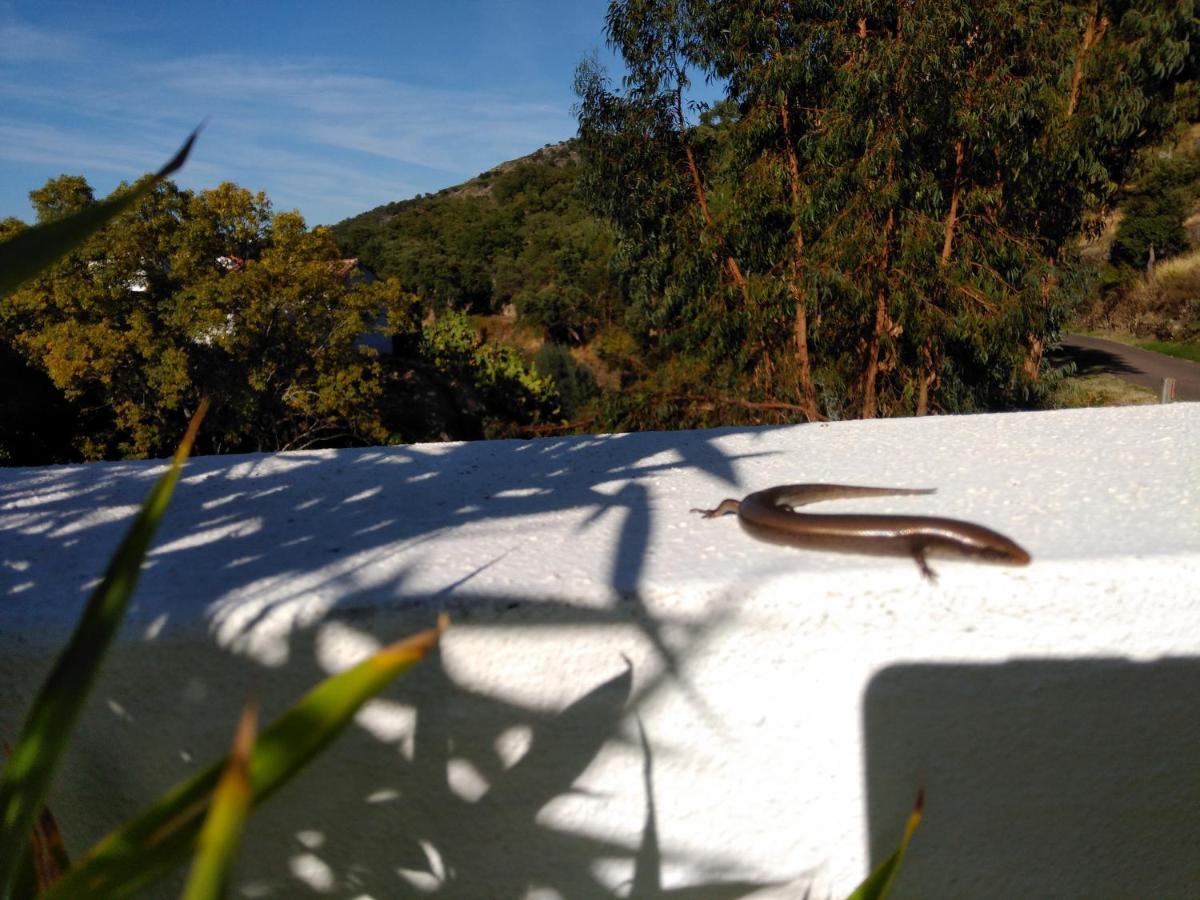 Casas Do Contrabando Bed and Breakfast Marvão Exteriör bild